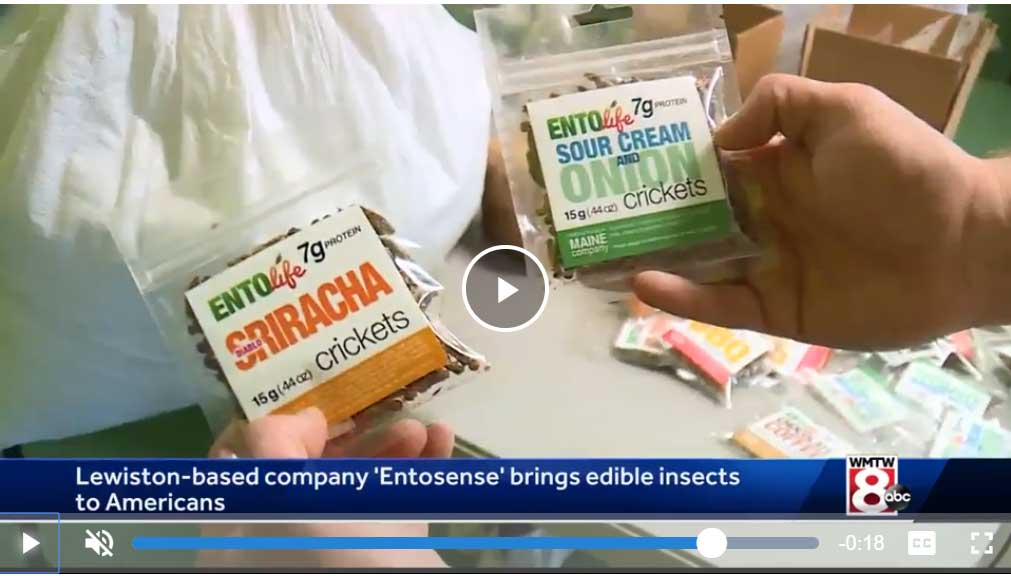 Entosense Channel 8