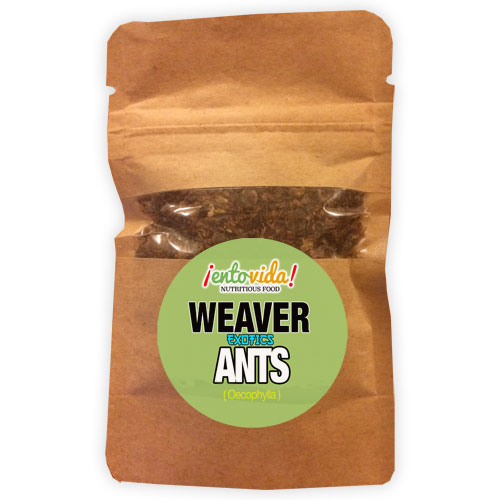 Weaver Ants For Sale