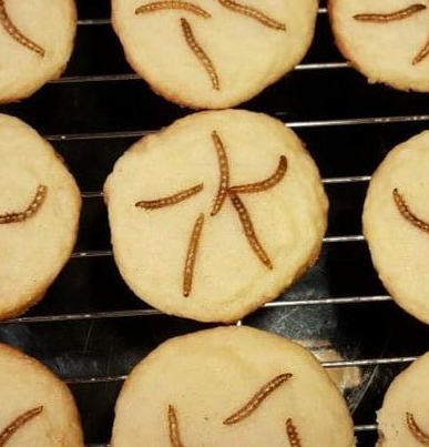 Cricket Cookies