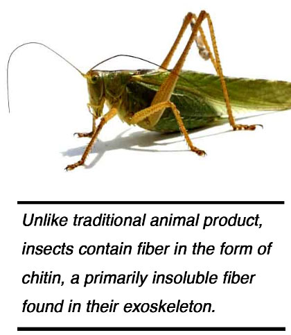 Insect Nutritional Values